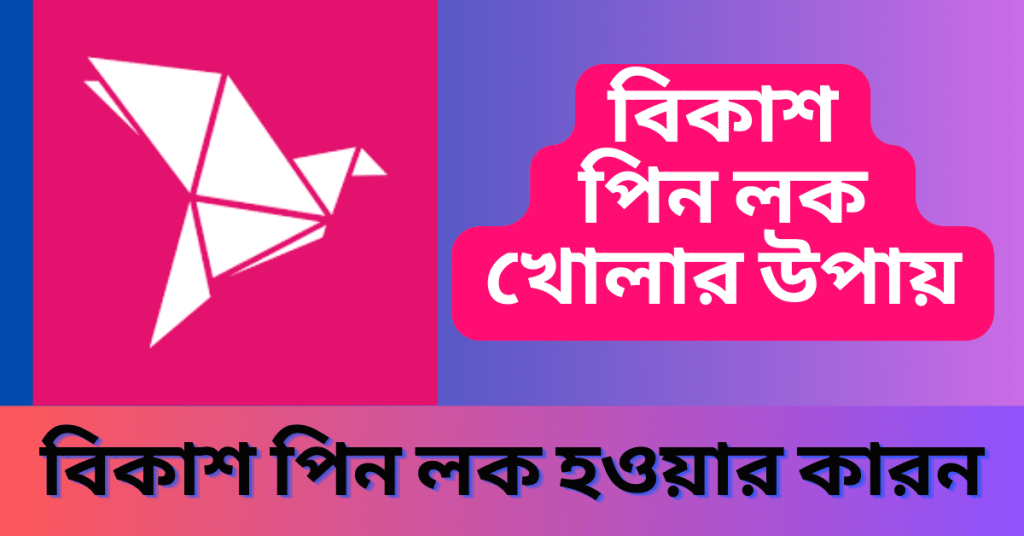Bkash Pin Reset কেন প্রয়োজন - বিকাশ পিন লক হওয়ার কারন