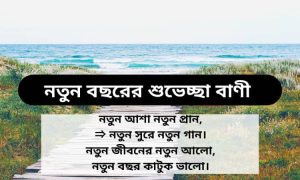 নতুন বছরের শুভেচ্ছা বাণী এসএমএস | New Year Wish SMS in Bangla Text