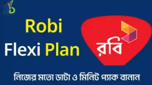 Robi Flexi Plan কীভাবে কাজ করে